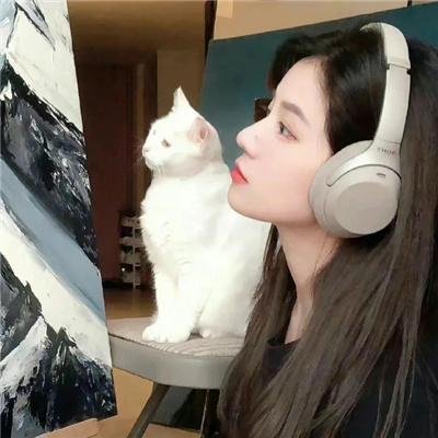 衣柜里的猫
